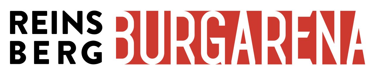 Burgarena Reinsberg, Logo